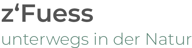 z'Fuess
